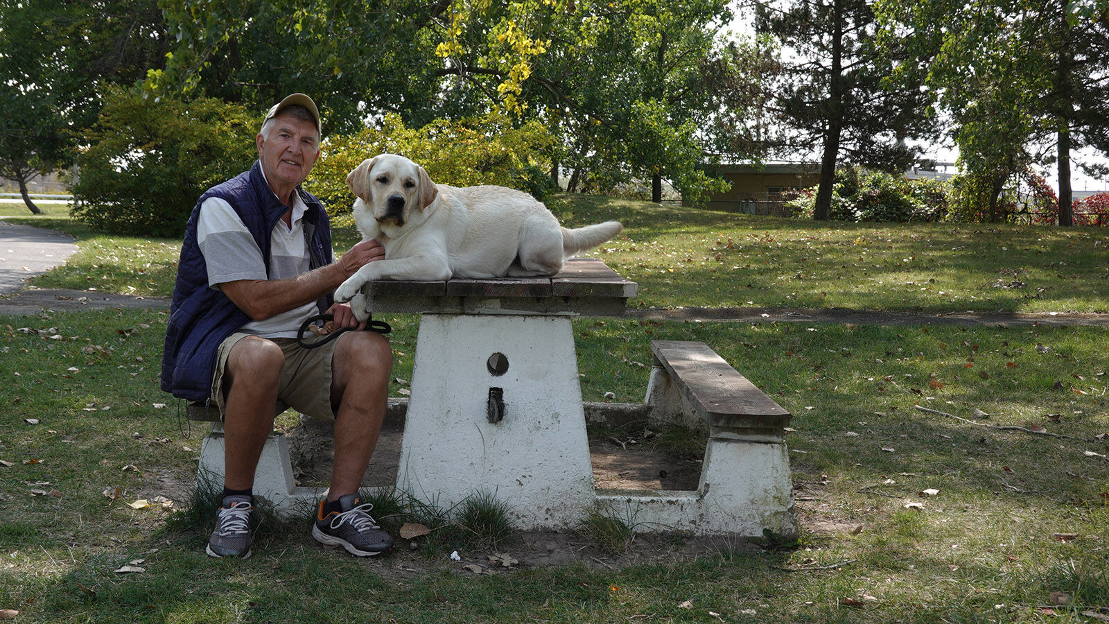 Man's best friend